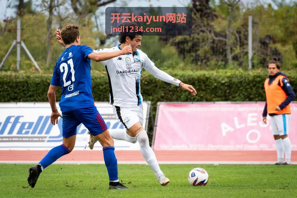 开云kaiyun网站内容卡片配图